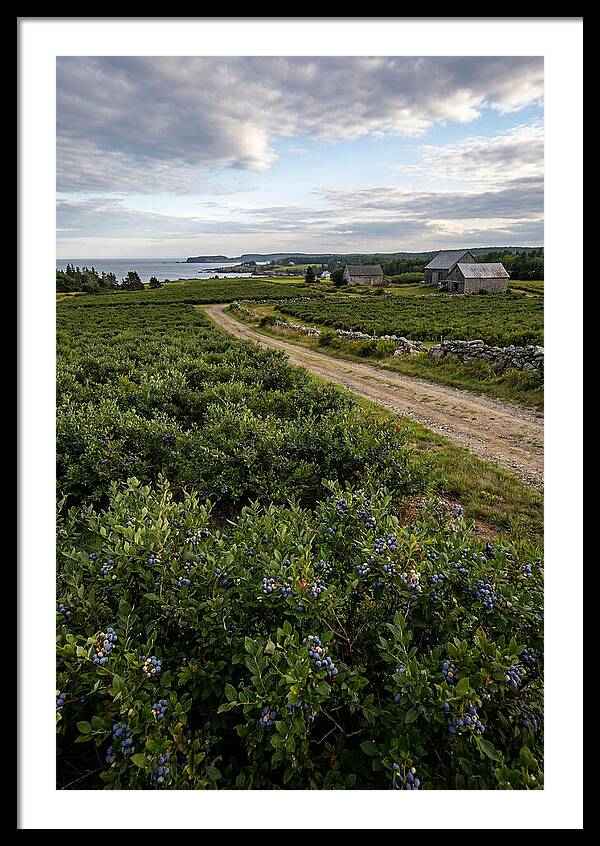 Farmhouse Serenity In Maine