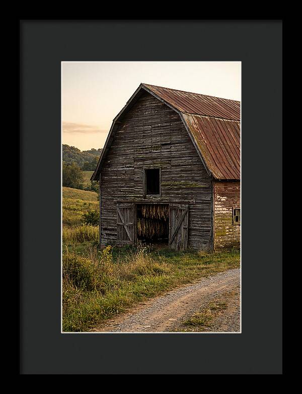 Farmhouse Tobacco Harvesting Scene