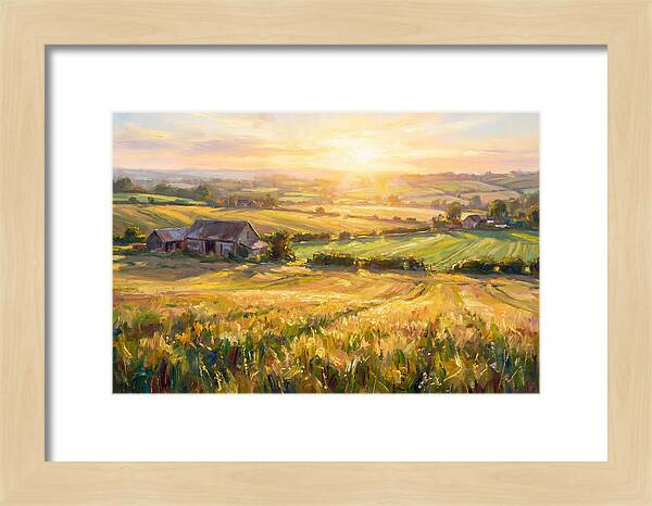 Farmland Landscape