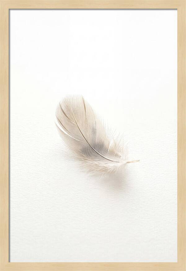 Feather Resting On Paper