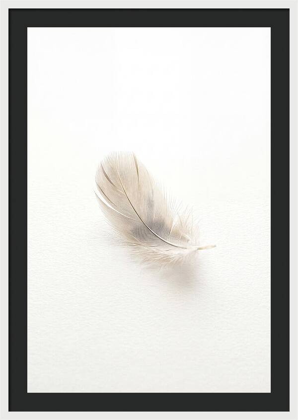 Feather Resting On Paper