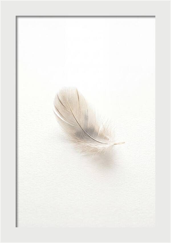 Feather Resting On Paper