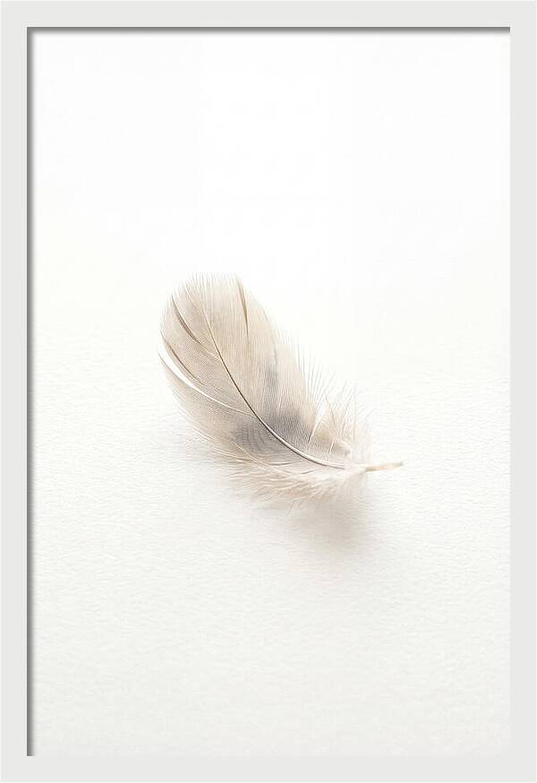 Feather Resting On Paper