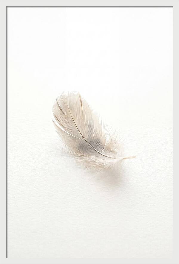 Feather Resting On Paper