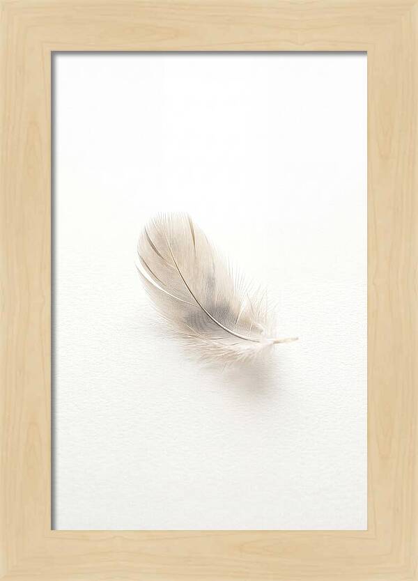 Feather Resting On Paper