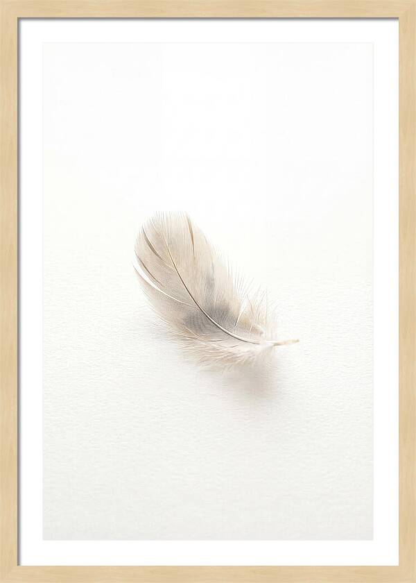 Feather Resting On Paper