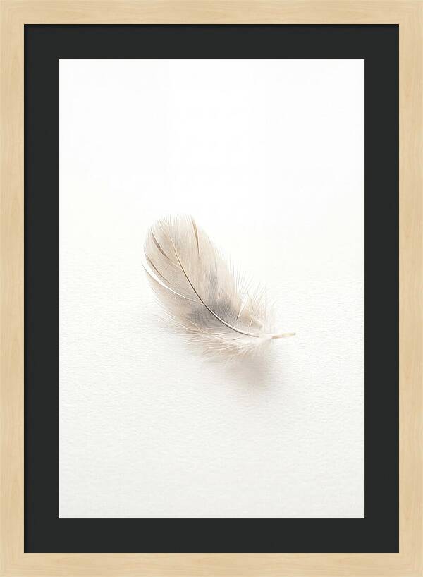 Feather Resting On Paper