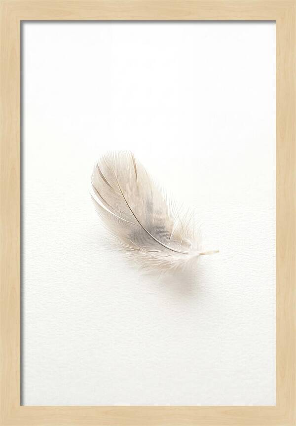 Feather Resting On Paper