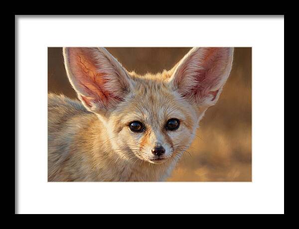Fennec Fox Portrait
