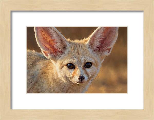 Fennec Fox Portrait