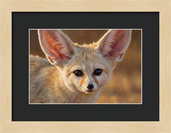 Fennec Fox Portrait