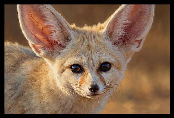 Fennec Fox Portrait
