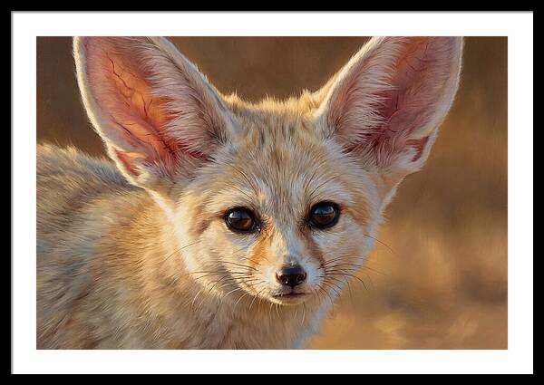 Fennec Fox Portrait
