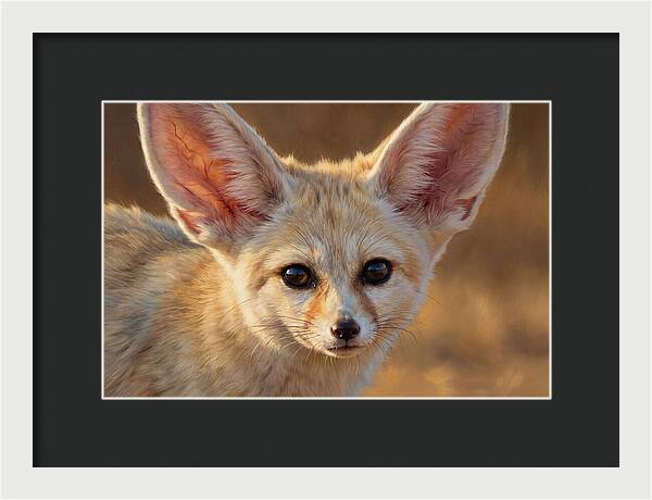 Fennec Fox Portrait