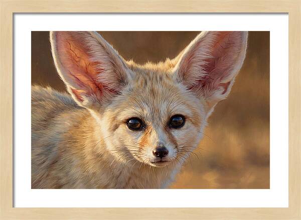 Fennec Fox Portrait