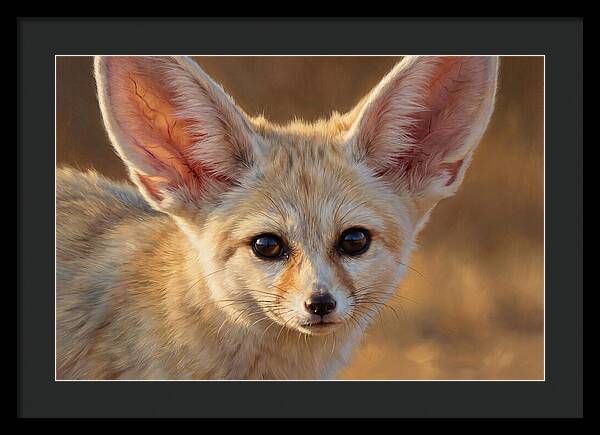 Fennec Fox Portrait
