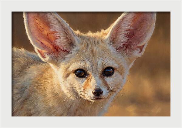 Fennec Fox Portrait