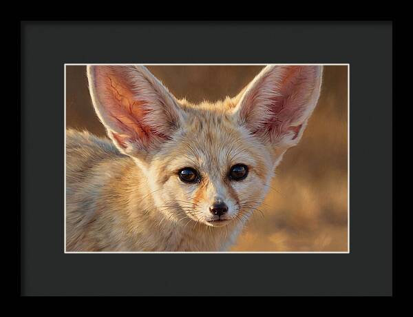 Fennec Fox Portrait