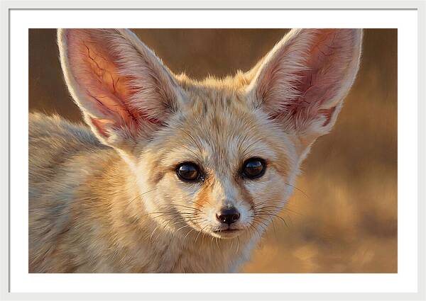 Fennec Fox Portrait