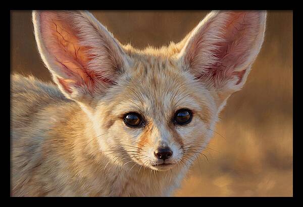 Fennec Fox Portrait