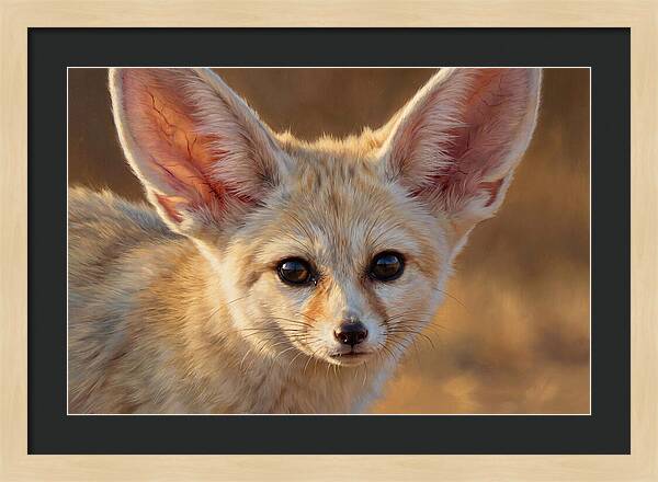 Fennec Fox Portrait