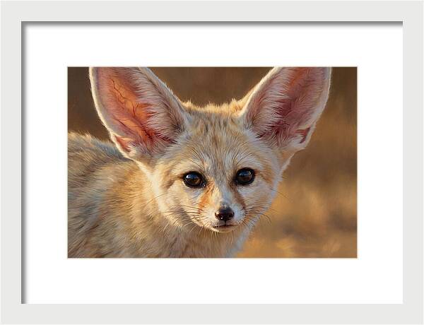 Fennec Fox Portrait