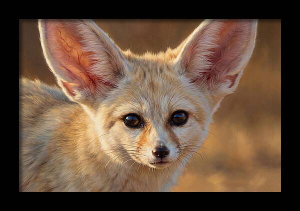 Fennec Fox Portrait