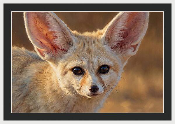Fennec Fox Portrait