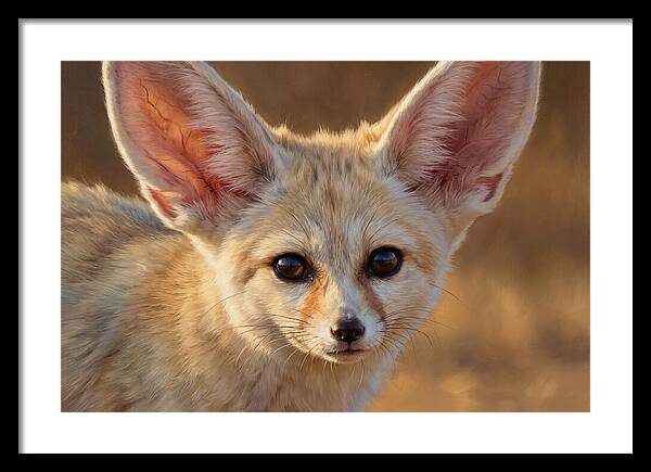 Fennec Fox Portrait