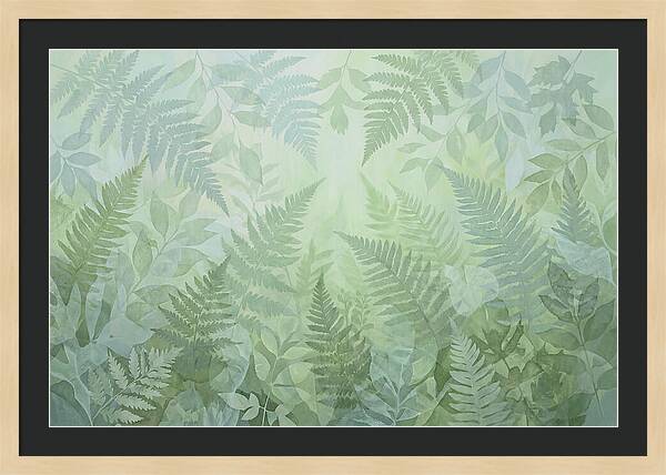 Fern Forest Floor