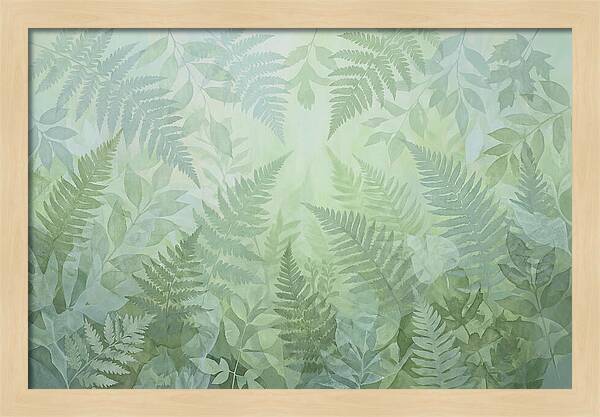 Fern Forest Floor