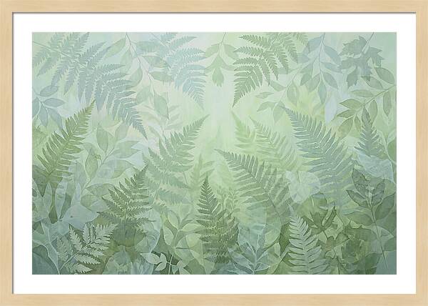 Fern Forest Floor