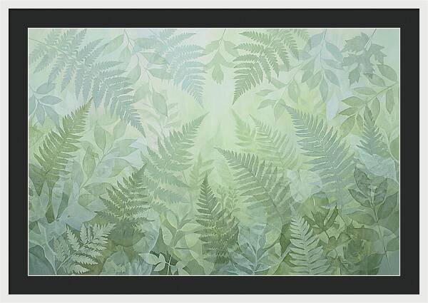 Fern Forest Floor