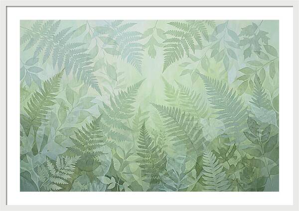 Fern Forest Floor