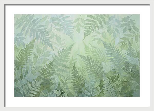 Fern Forest Floor