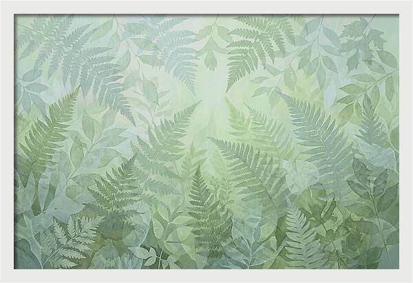 Fern Forest Floor