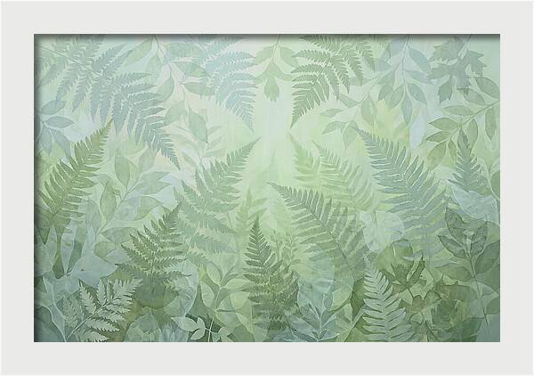 Fern Forest Floor