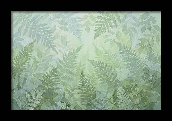 Fern Forest Floor