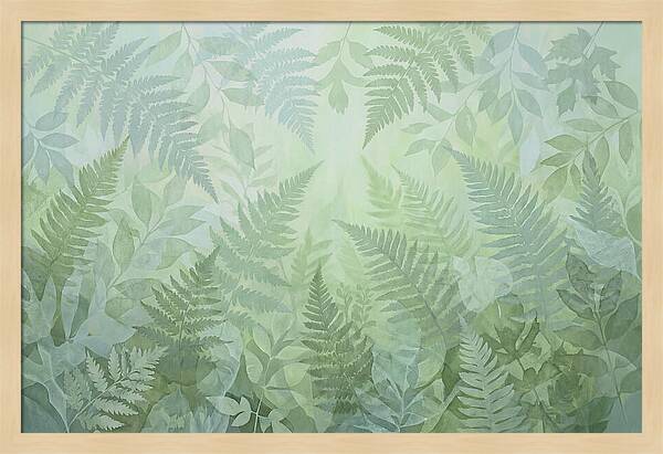 Fern Forest Floor