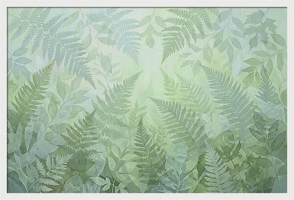 Fern Forest Floor