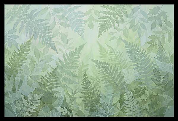 Fern Forest Floor