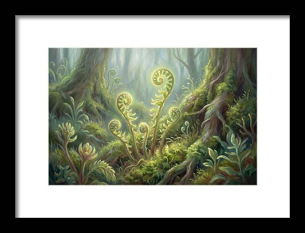 Fern Fronds In Forest