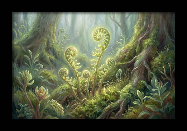 Fern Fronds In Forest