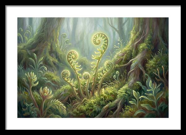 Fern Fronds In Forest