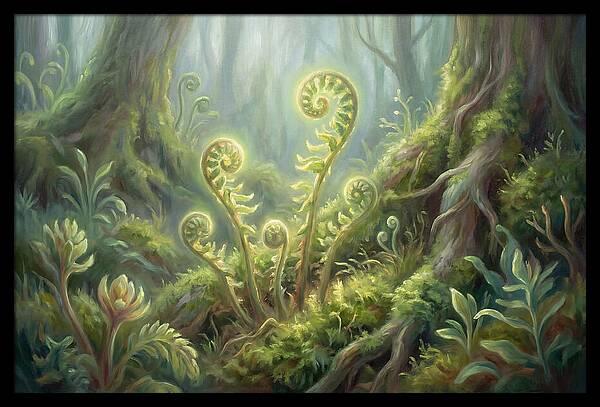 Fern Fronds In Forest