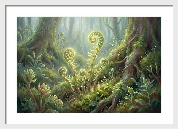 Fern Fronds In Forest