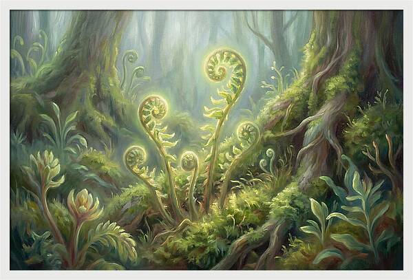 Fern Fronds In Forest