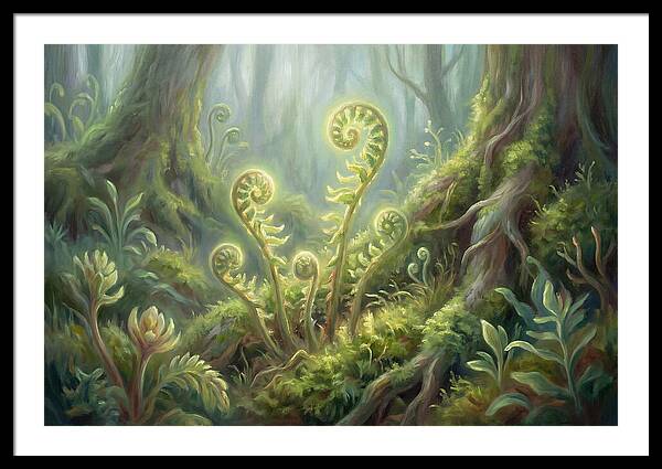 Fern Fronds In Forest