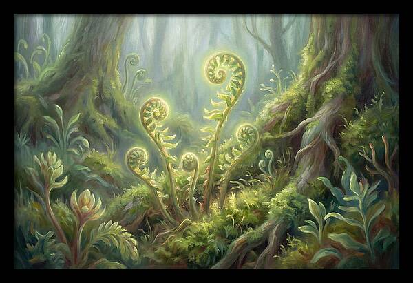 Fern Fronds In Forest