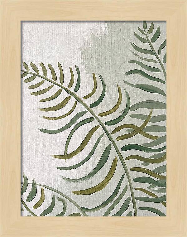 Fern Fronds In Harmony